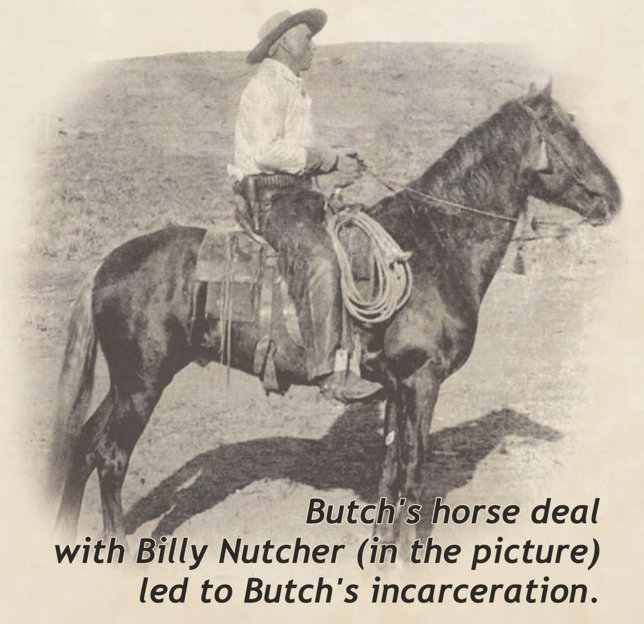 1891