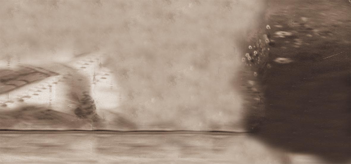 wild bunch background