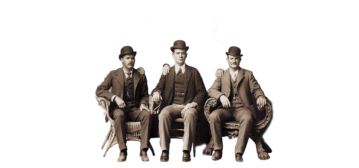 Wild Bunch
